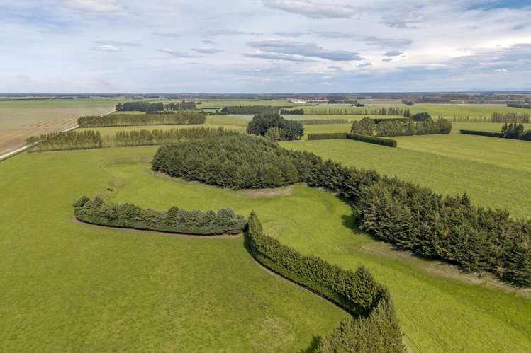 904 Dip Road Methven_8