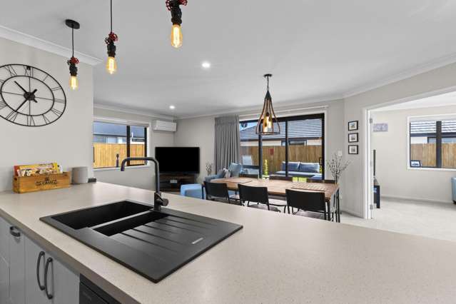 78 Turnbull Drive Witherlea_2