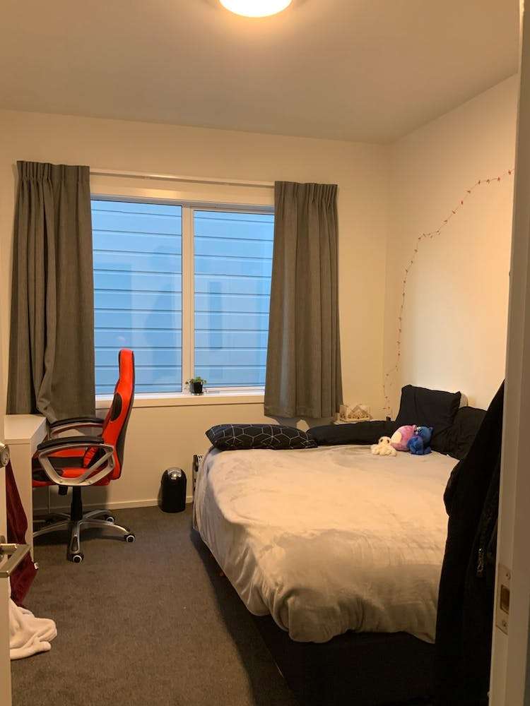 113 Harbour Terrace North Dunedin_9