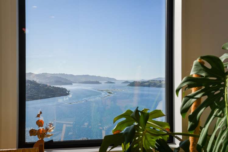 60a Connell Street Waverley_10