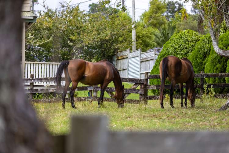 93 Escott Road Dairy Flat_23