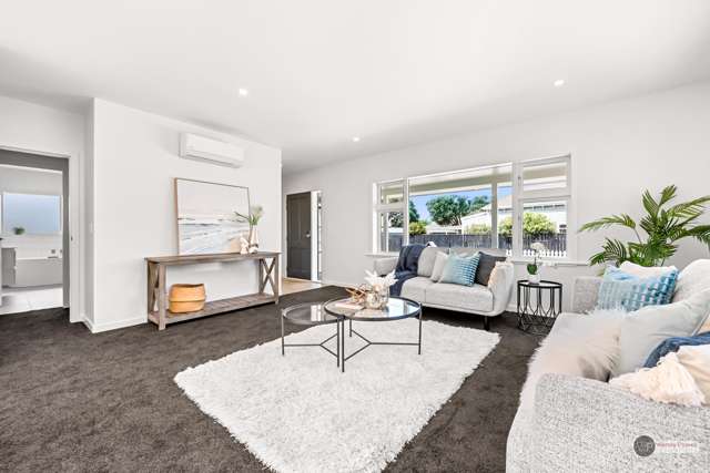 39a Riddlers Crescent Petone_2