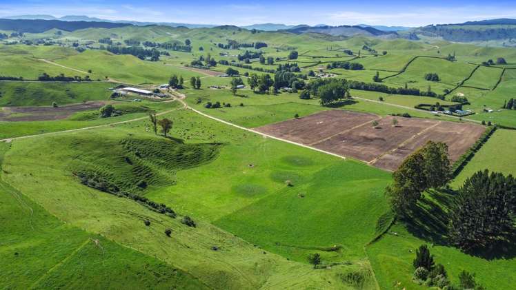 301 Matarawa Road Kinleith_32