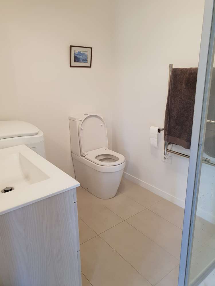 100a Mcbride Street Frankton_7