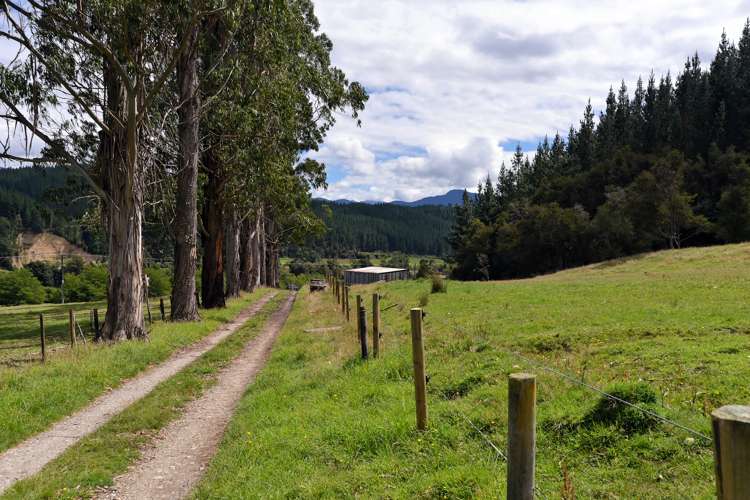 739 Tadmor-Glenhope Road Kahurangi National Park_14