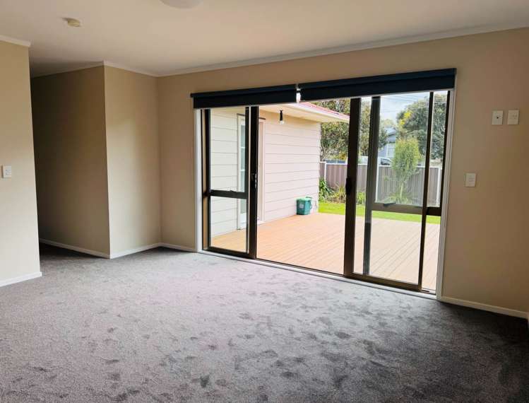 19a Walpole Street Ellerslie_10