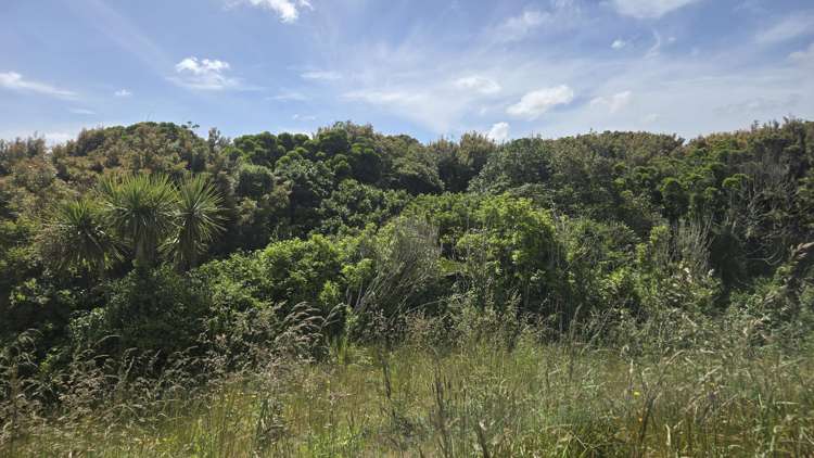 . Opourapa Road Rahotu_12