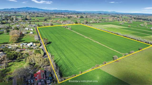 Prime Tamahere Real Estate
