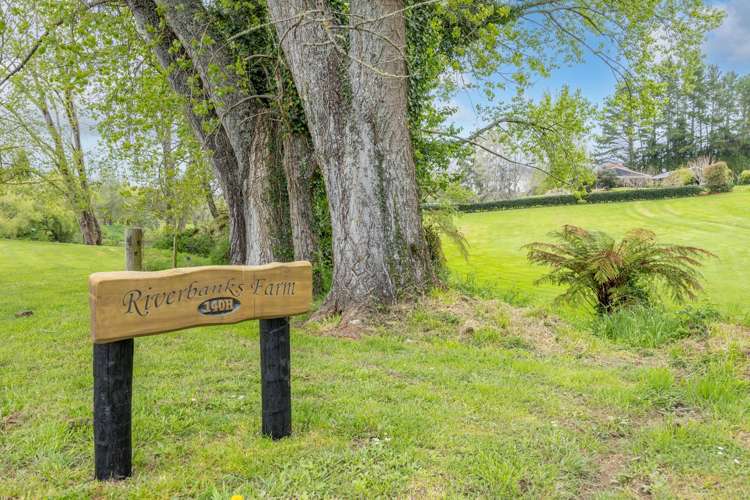 140H Tebbutt Road Lower Kaimai_32