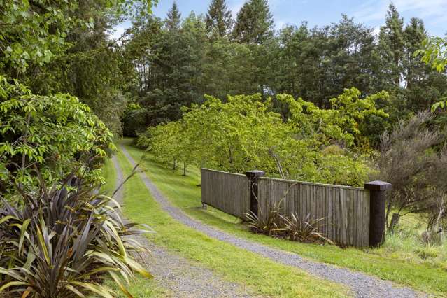 365 Whangamata Road Kinloch_2