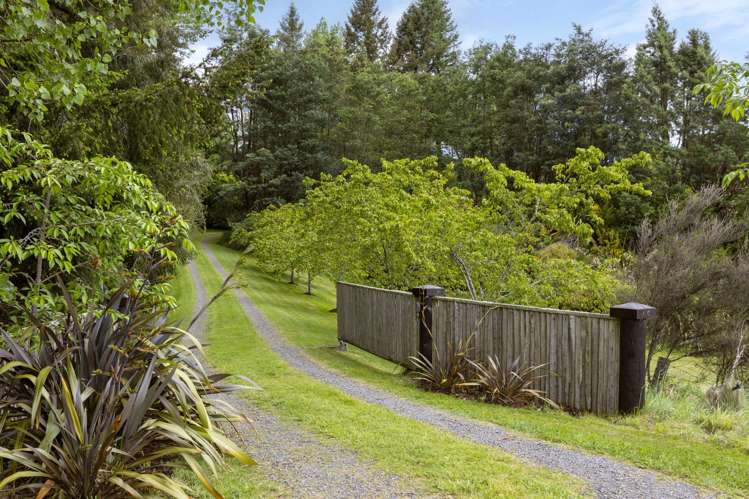 365 Whangamata Road Kinloch_36