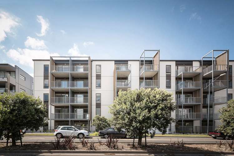 02/4g Bluegrey Avenue Stonefields_7