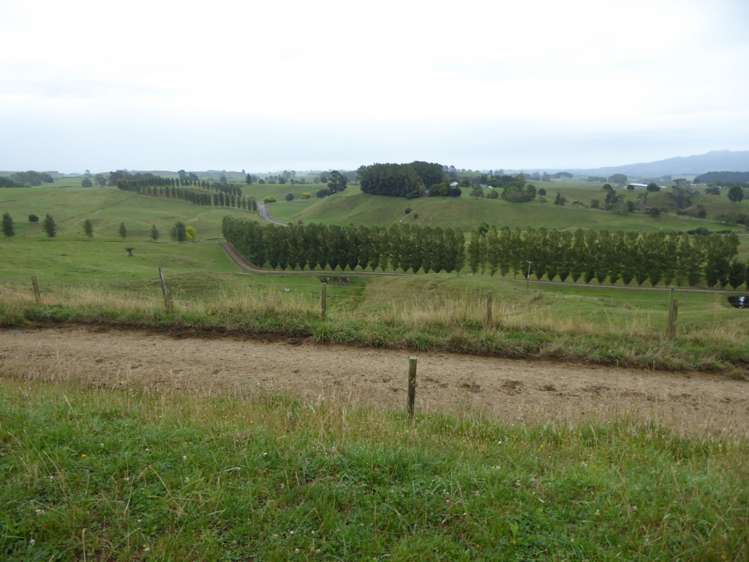 411 Waotu Road Putaruru_8