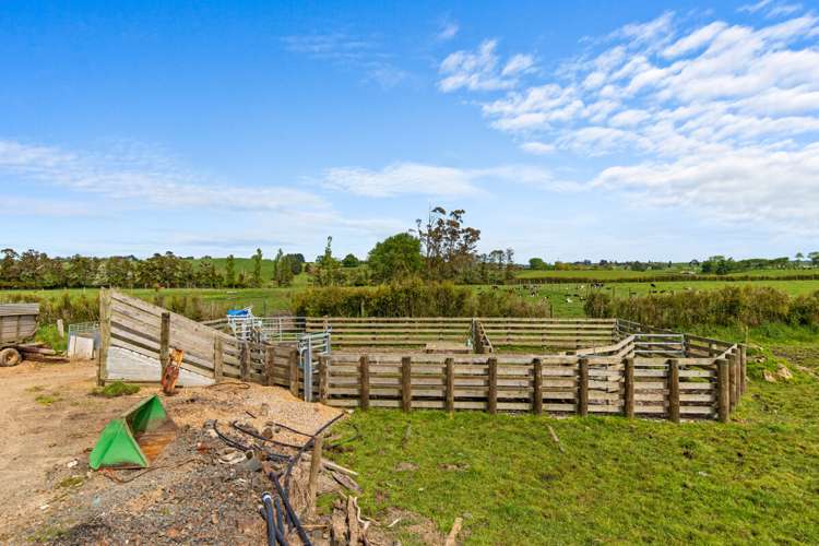 178 Furniss Road Ruawaro_11