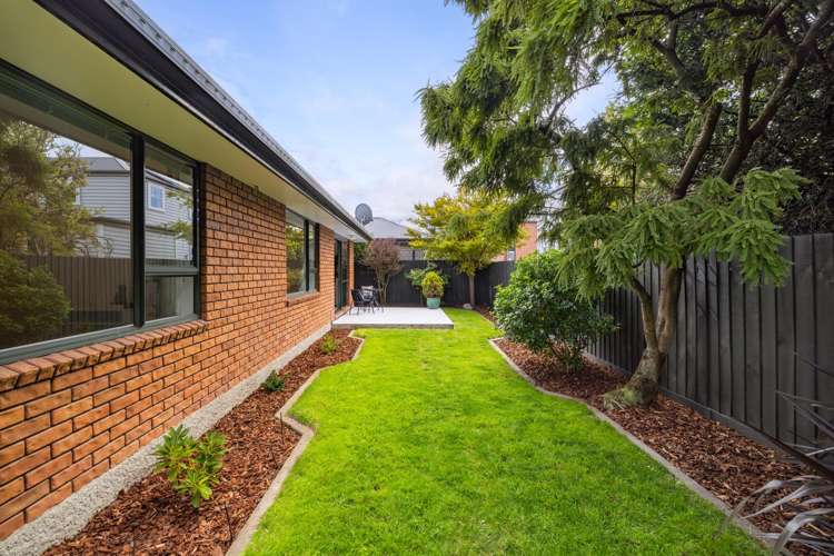 26a Plunket Street Spreydon_10
