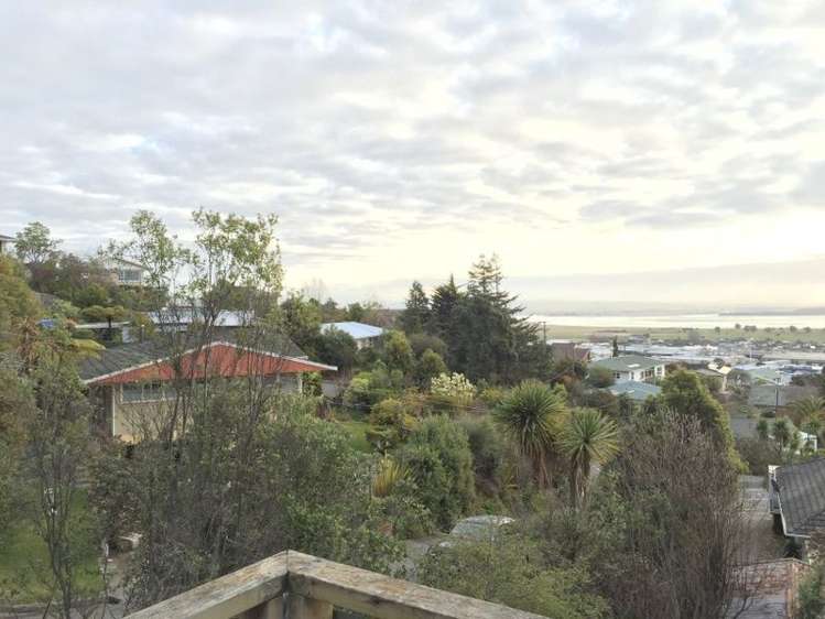 49 Chamberlain Street Tahunanui_12