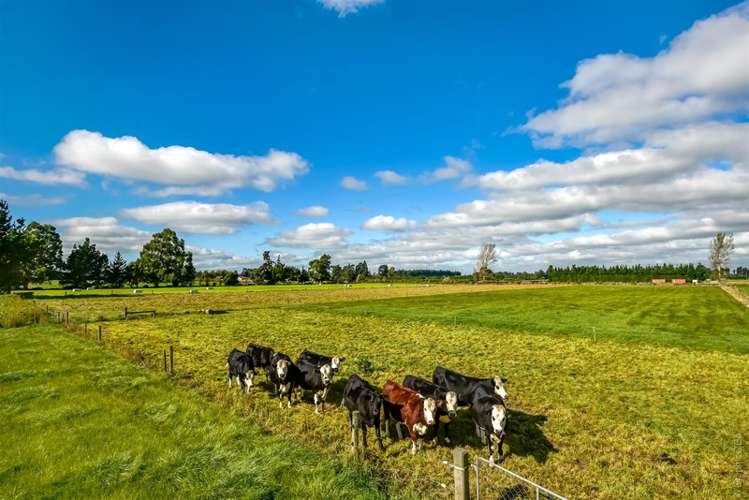 106 Searles Road Sheffield_9