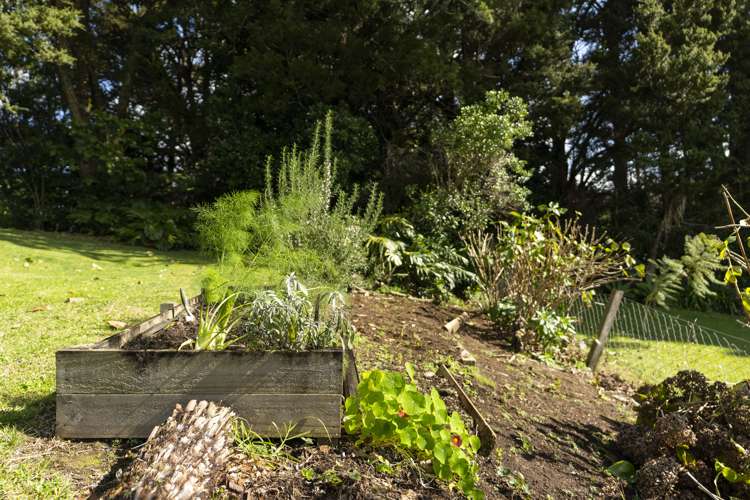 41 Huia Street Whau Valley_25