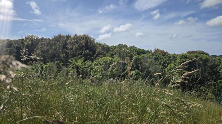 . Opourapa Road Rahotu_16