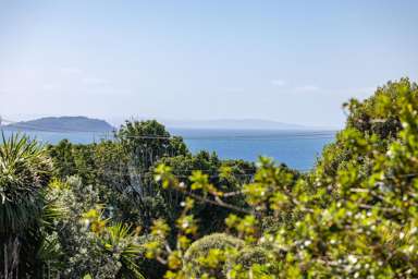 54 Hekerua Road_1