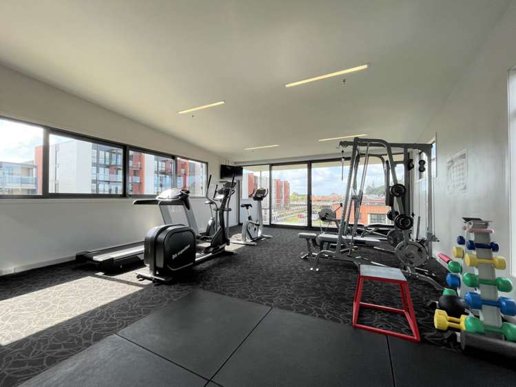 08/2g Bluegrey Avenue Stonefields_16