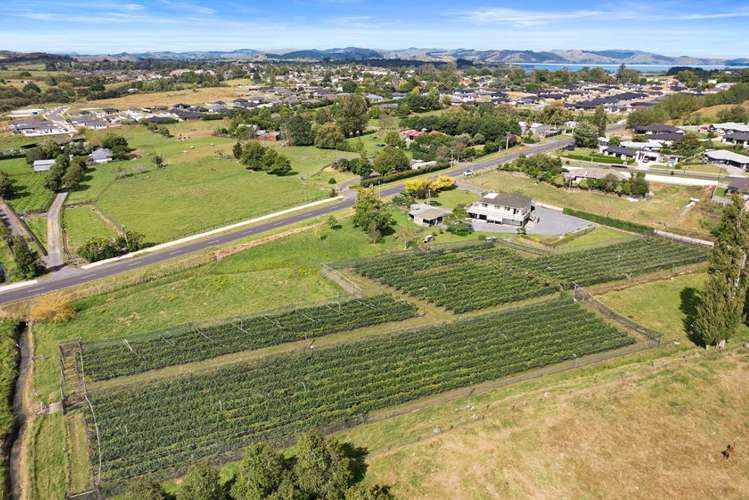 126 Travers Road Te Kauwhata_2