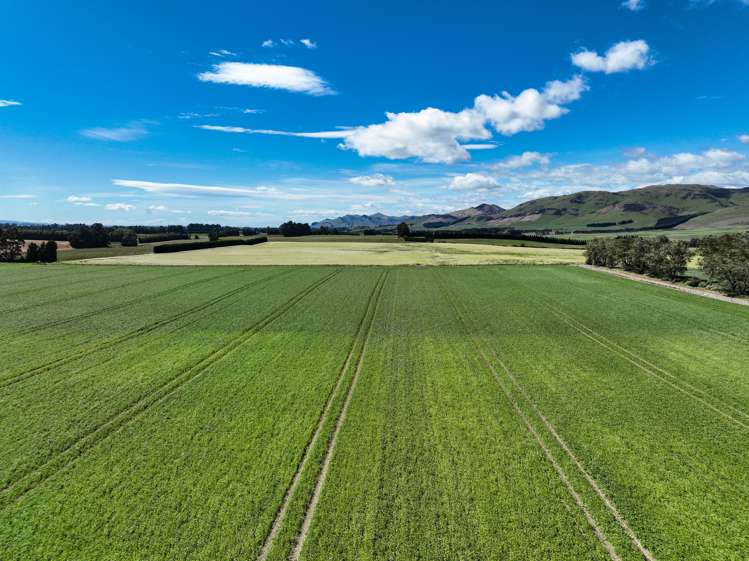 909 Nine Mile Road Riversdale_5