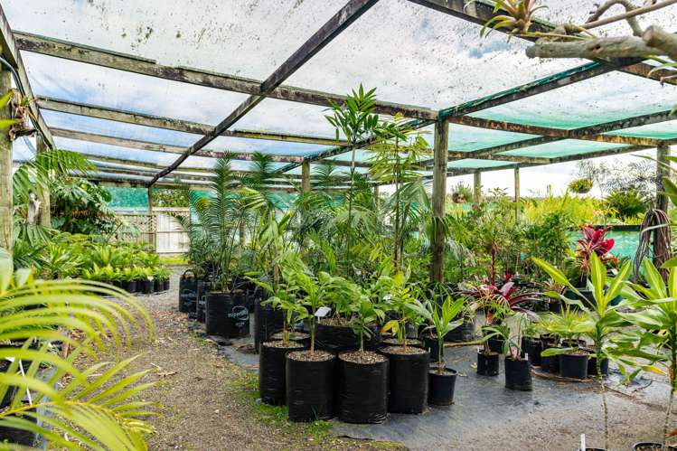 656 One Tree Point Road Ruakaka_14