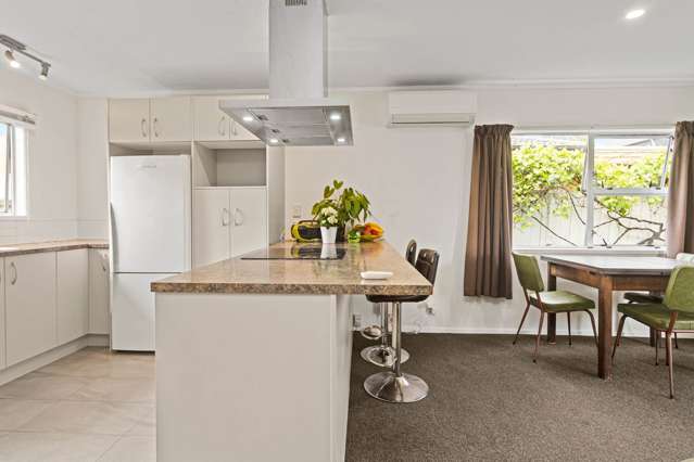 Stottholm Road Titirangi_3