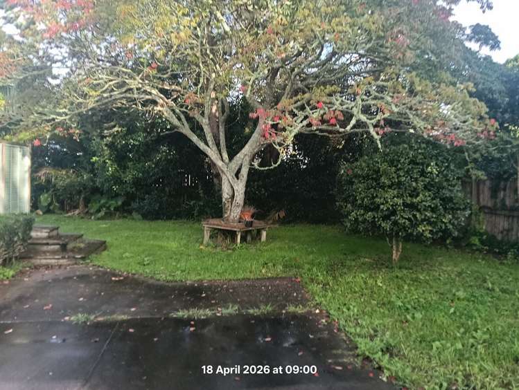 1 Rugby Lane Huntly_13