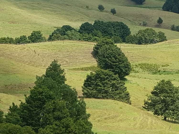 160 Otuhi Road Mangapai and Surrounds_3