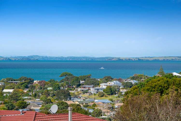 1a Layton Road Manly_21