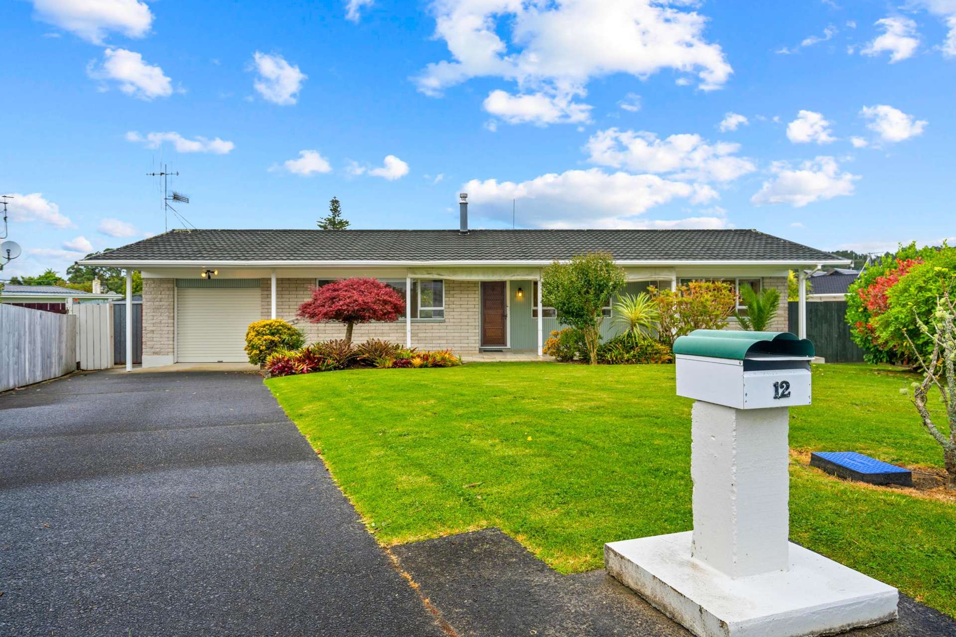 12 Windsor Avenue Te Kamo_0