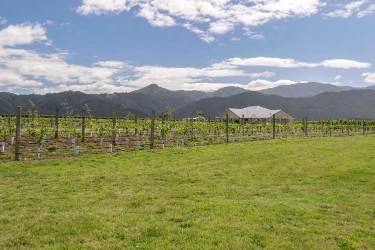 101 Flaxmill Drive Rarangi_2