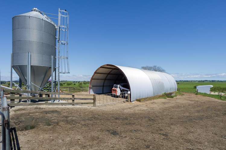 254 Muir Road Te Awamutu_8