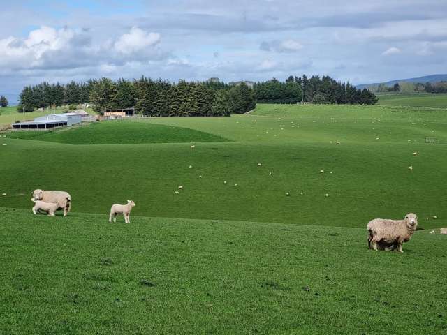 1628 Tuapeka West Road and 275 Bush Road Tuapeka West_2