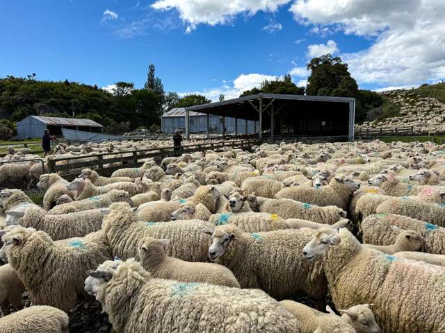 21 Lillburn Valley Road Clifden_2