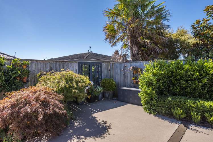 82 Regent Drive Paraparaumu Beach_10