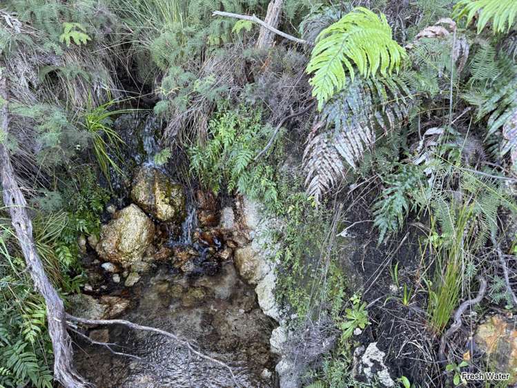 Lots 4-7 246 Blind Bay Road Great Barrier Island_7