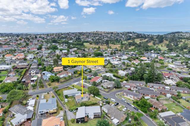 1 Gaynor Street Mount Roskill_1