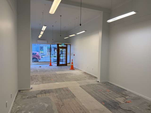 378 George Street Dunedin Central_2