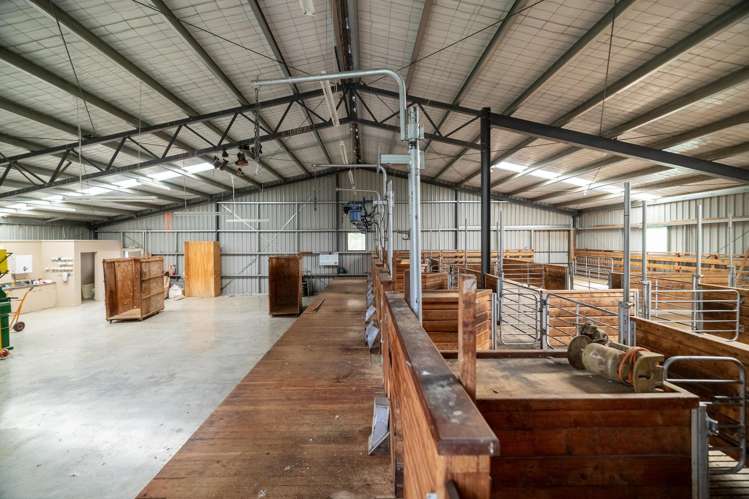 Lake Ohau Station Lake Ohau_21