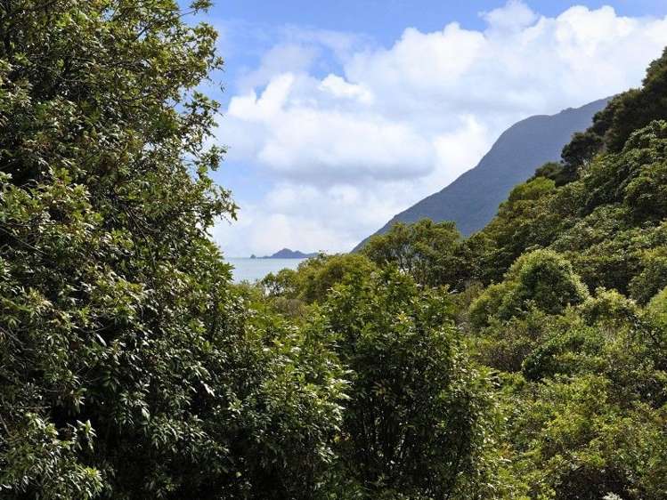 2341 Croisilles-French Pass Road Okiwi Bay_5