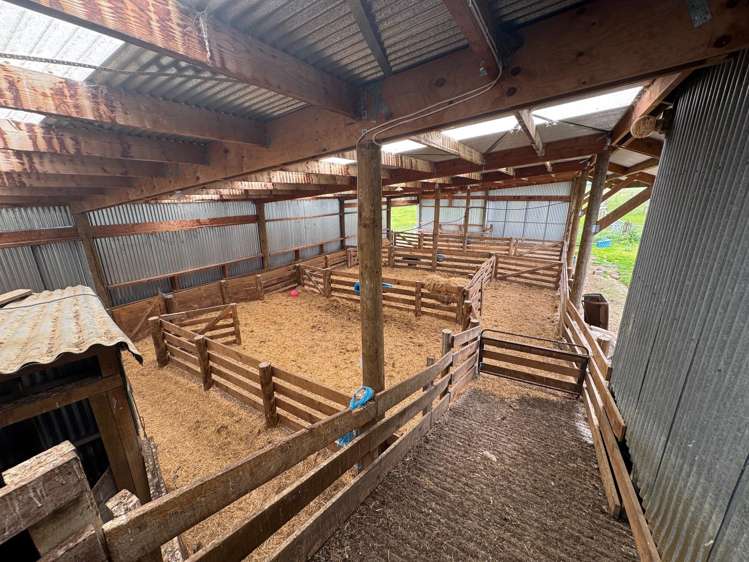 1148 Blackmount Redcliff Road Whare Creek_8