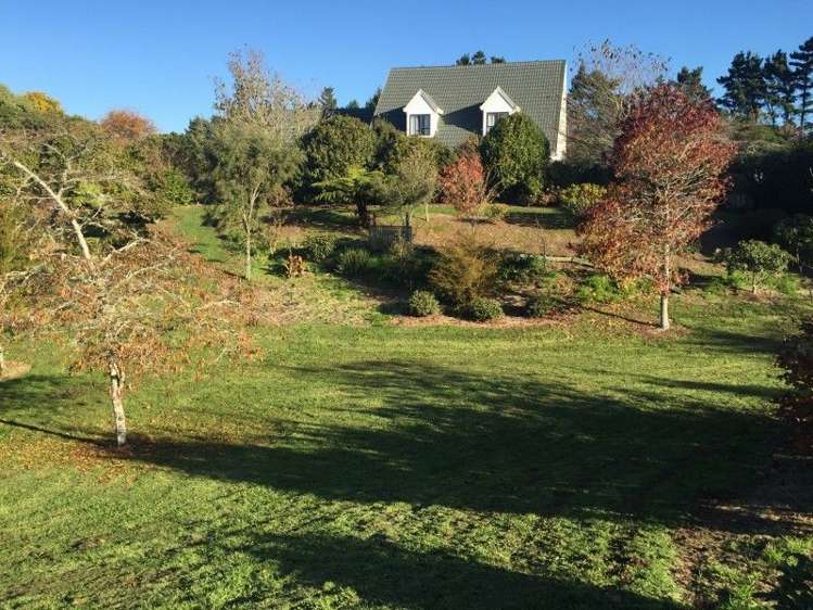 311 Opunake Road Cardiff_26