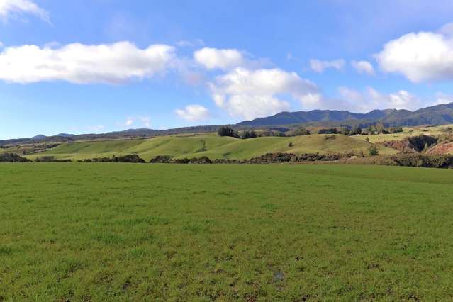 915 Aorere Valley Road Kahurangi National Park_2