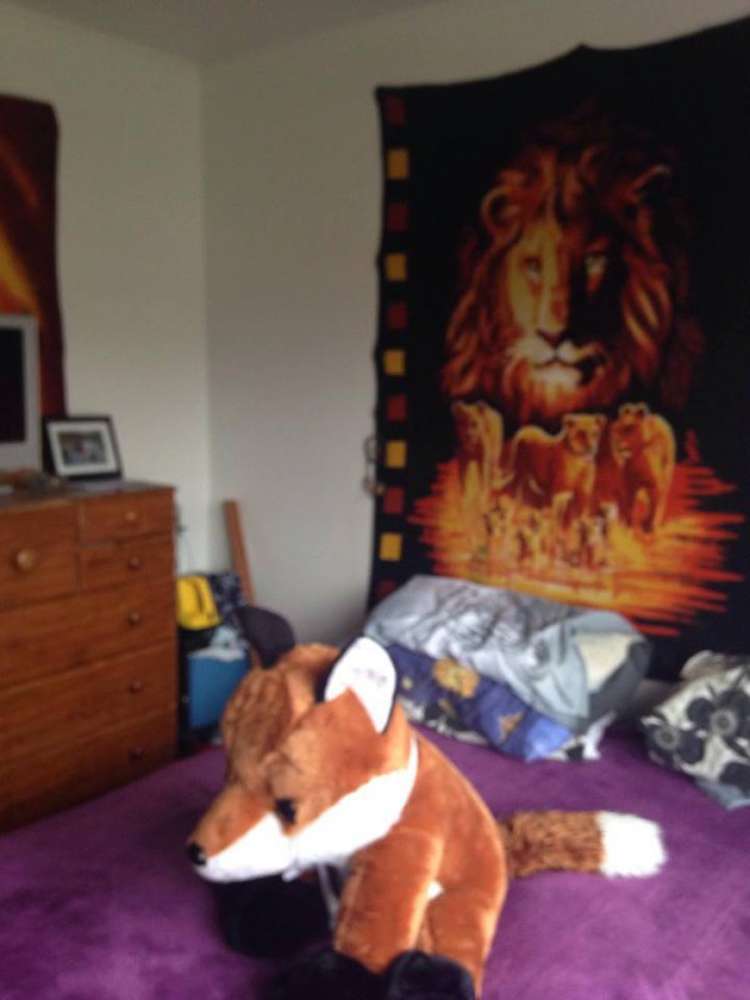 4 William Street Te Kuiti_13