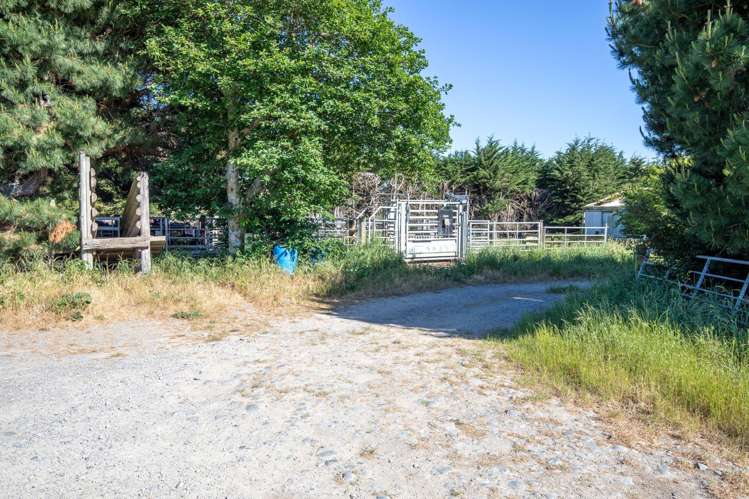 270 Downs Road Cheviot_9