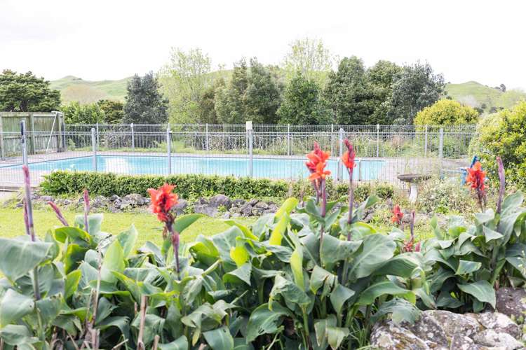 1557 Waihue Road Dargaville Surrounds_25