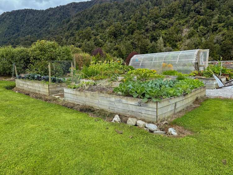 221 Docherty Creek Rd and Waiho Flat Road Franz Josef_9